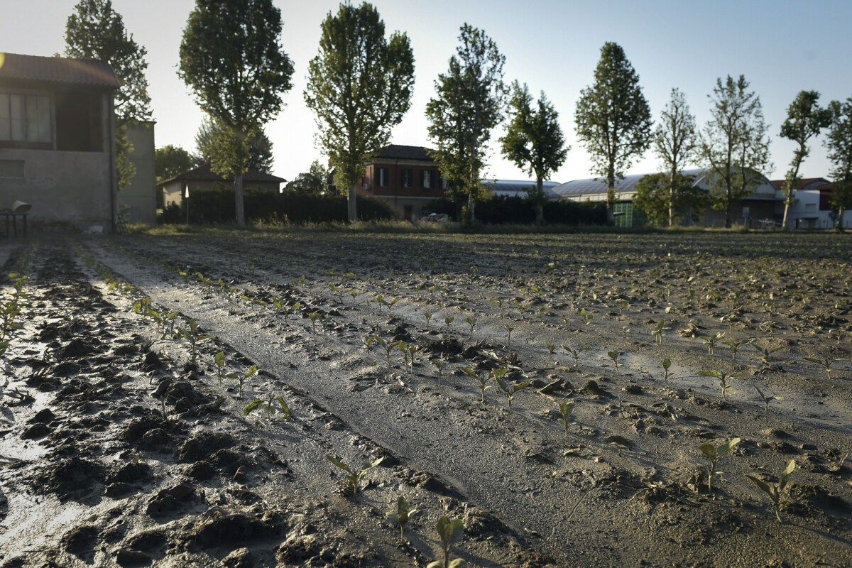 Alluvione In Emilia Romagna Bper Banca E Cia Agricoltori Unite Per