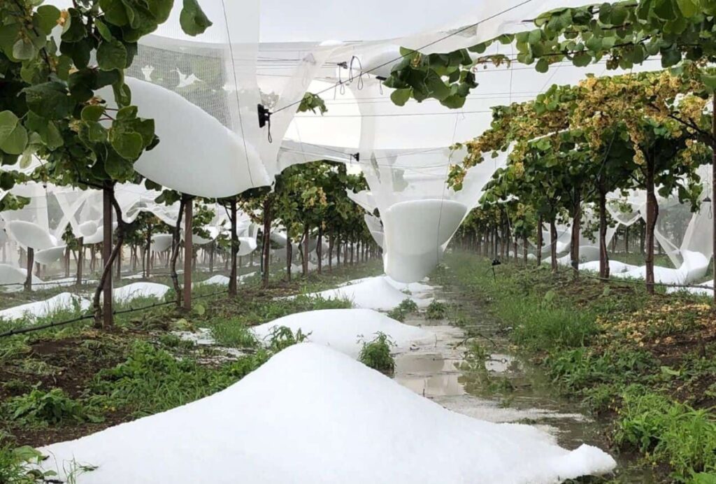 Cambiamenti climatici