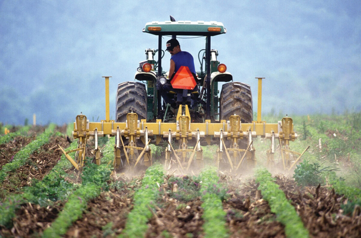Agricoltura