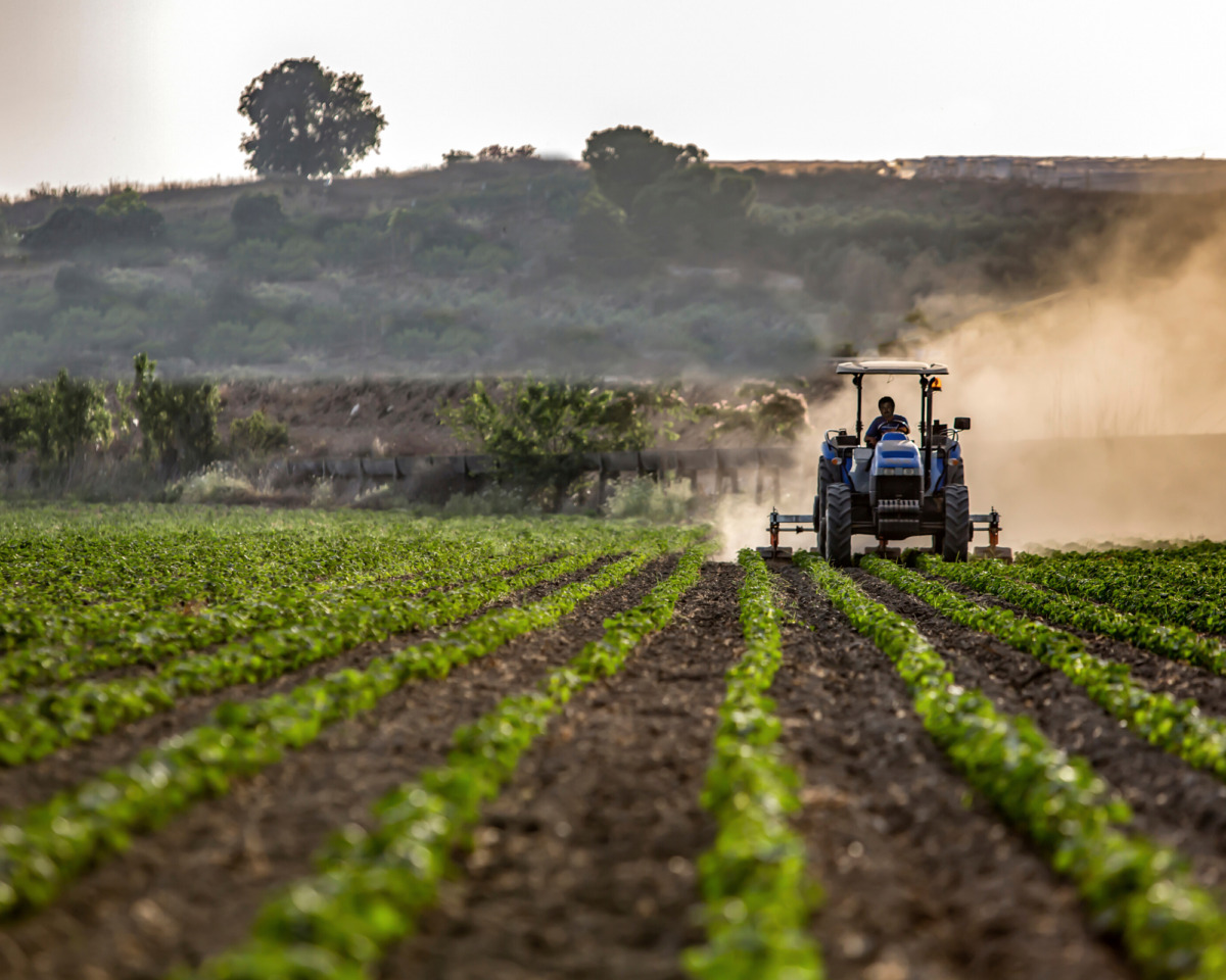 Cna Agroalimentare e Altragricoltura insieme per la sovranità