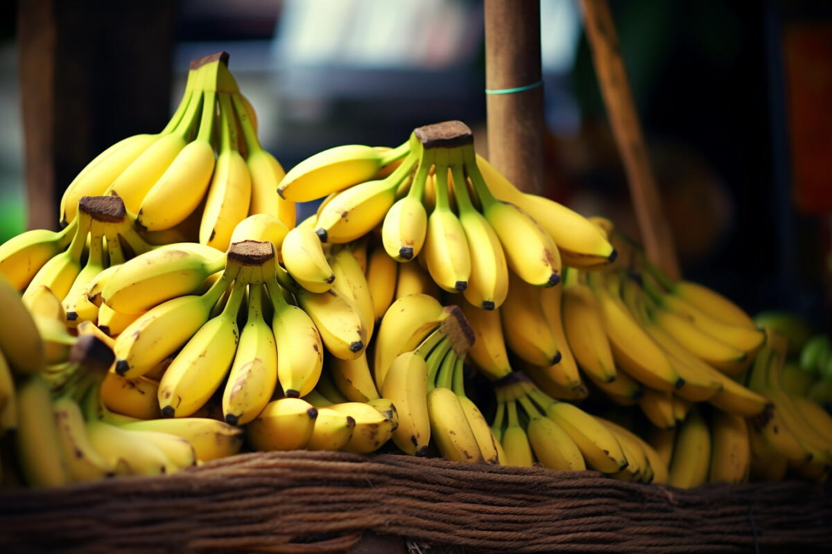 ‘Banana Cavendish’, gli esperti del settore prevedono che diventerà sempre più costosa