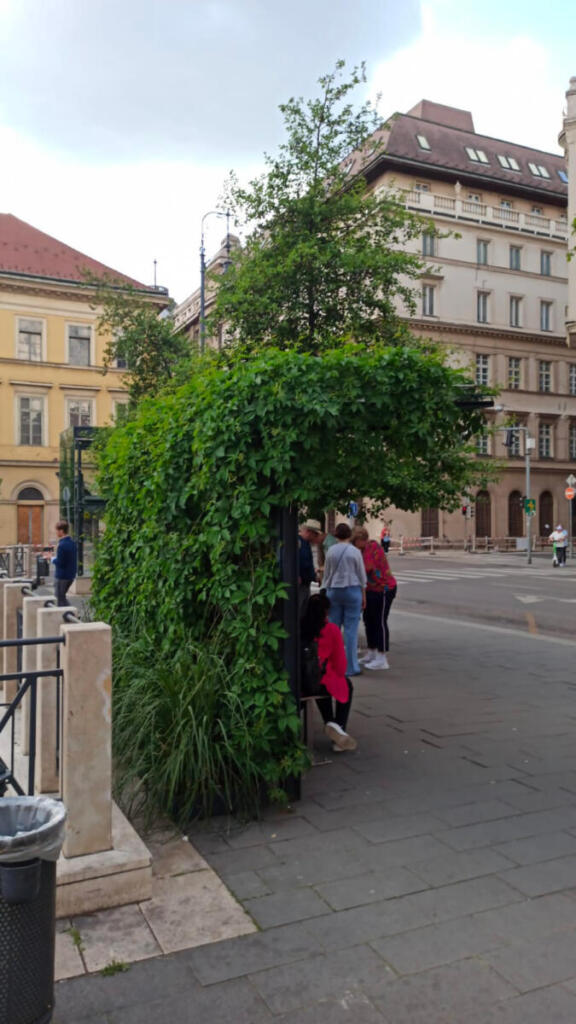 Pensilina verde a Budapest