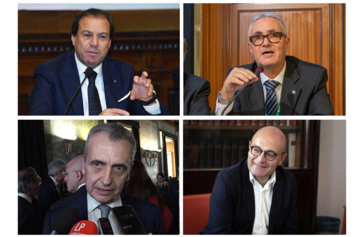 Nella foto da sinistra in senso orario: Maurizio Leo, Marco Cuchel, Antonio Misiani e Vincenzo Carbone