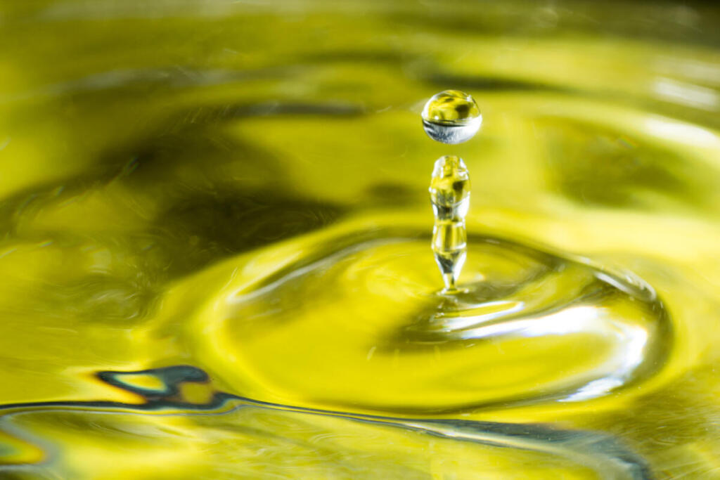 Confesercenti. SOL Expo 2026, a Verona la filiera dell’olio guarda al futuro