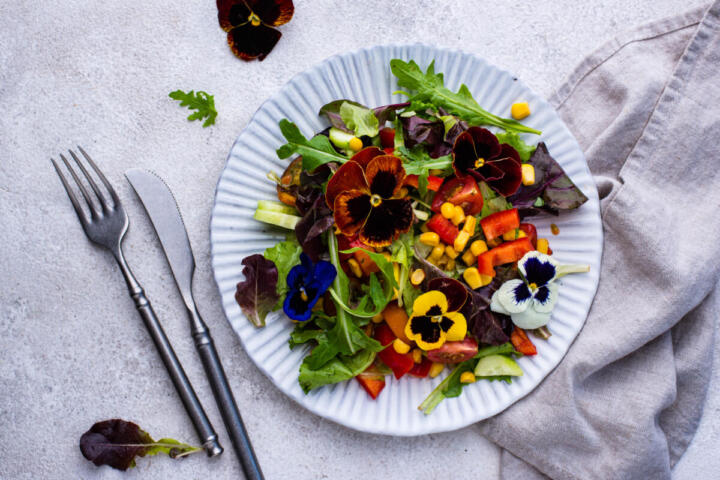 Fiori eduli da mangiare, un italiano su quattro li porta in tavola: settore da 7 milioni e primato europeo