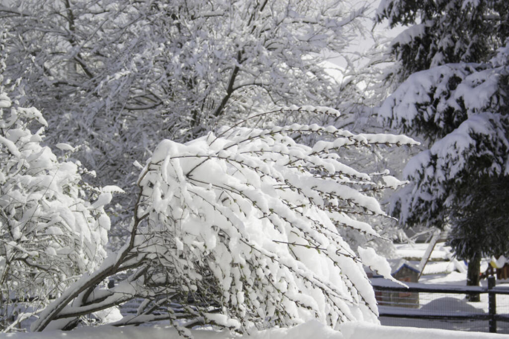 Il nord‑est degli Stati Uniti si rialza dopo la tempesta: voli cancellati, scuole chiuse e neve da record