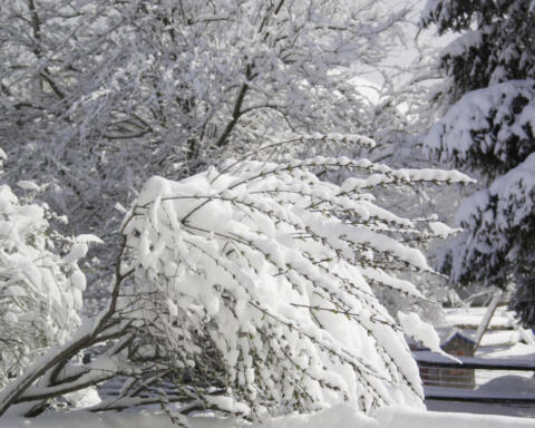 Il nord‑est degli Stati Uniti si rialza dopo la tempesta: voli cancellati, scuole chiuse e neve da record