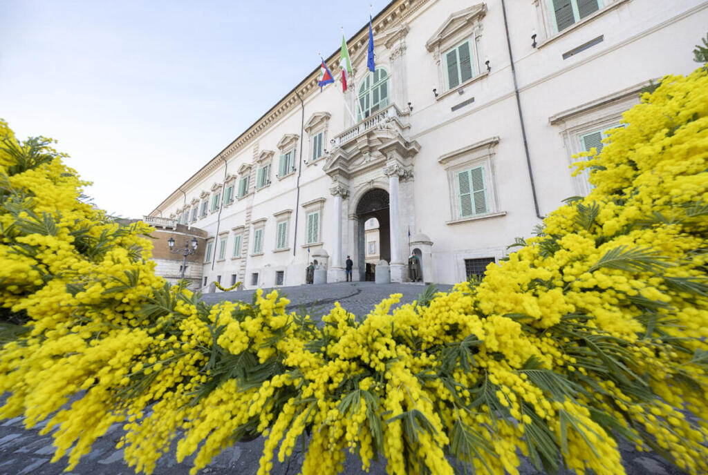 Quirinale decorato con mimose