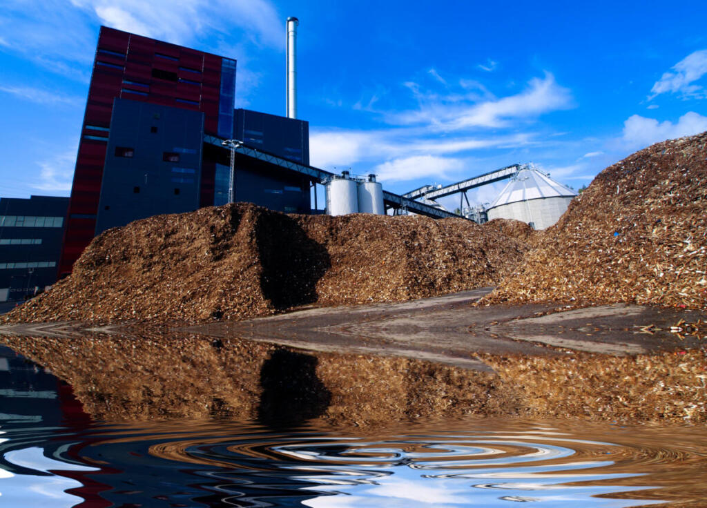 Dall’umido all’energia: il biogas che può rendere l’Italia più autonoma
