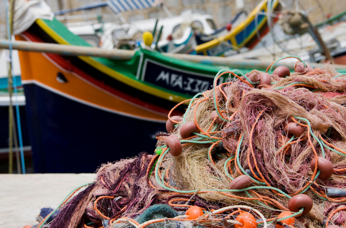 Pesca illegale a Porto d’Ascoli, sequestrato il pescato: la Guardia di Finanza lo dona alla Caritas