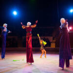 Spettacolo dal vivo, Giuli rassicura: “Nessun rischio dai tagli del decreto accise”