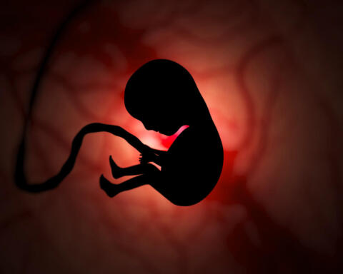 Taiwan traccia un confine giuridico: per i giudici il feto non è una persona