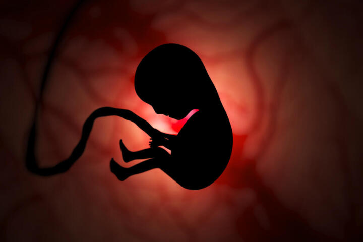 Taiwan traccia un confine giuridico: per i giudici il feto non è una persona