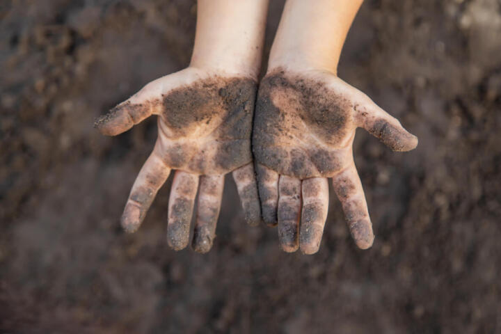 terra e microbi aiutano il sistema immunitario dei bambini.