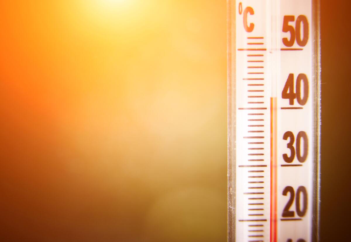 L’ONU avverte: entro il 2030 il mondo dovrà quasi certamente affrontare un anno di temperature record