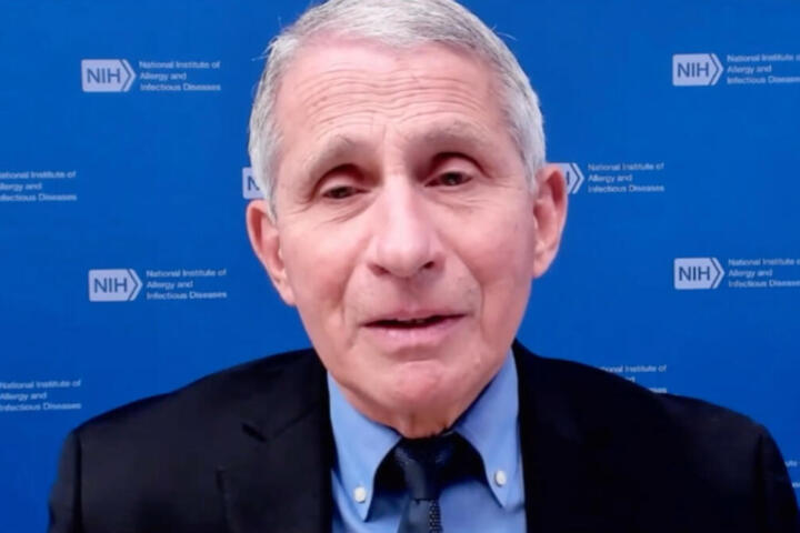Fauci rischia un voto di oltraggio al Senato dopo aver invocato il Quinto Emendamento durante un'audizione al Senato