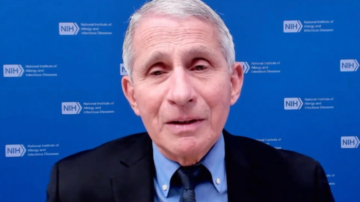 Fauci rischia un voto di oltraggio al Senato dopo aver invocato il Quinto Emendamento durante un'audizione al Senato