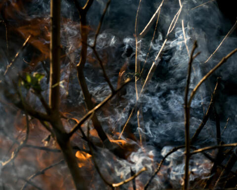 Indonesia, 72 arresti per gli incendi nelle foreste: la “haze” soffoca Borneo e Sumatra mentre il governo punta alle aziende
