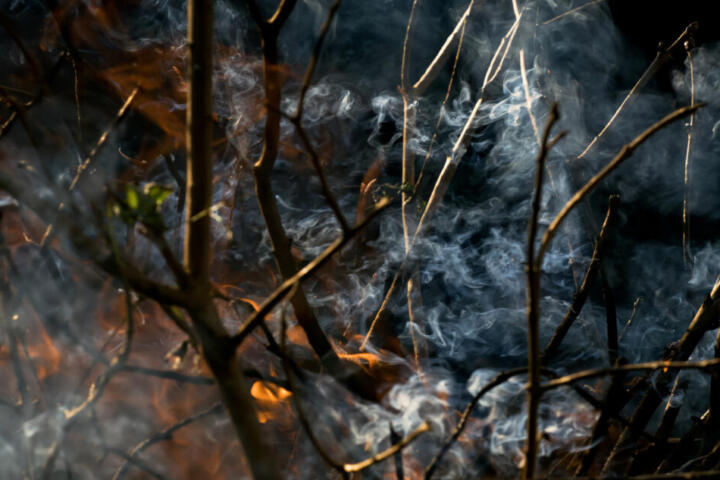 Indonesia, 72 arresti per gli incendi nelle foreste: la “haze” soffoca Borneo e Sumatra mentre il governo punta alle aziende