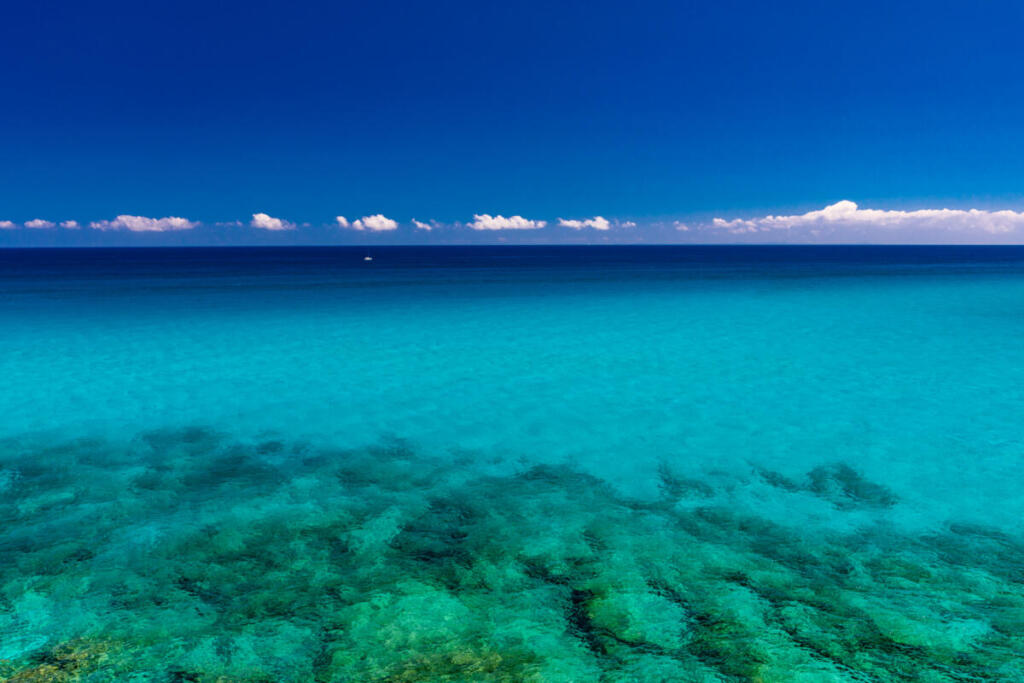 Mar Cinese Meridionale, la Cina completa Antelope Reef: nuova isola artificiale e tensioni crescenti