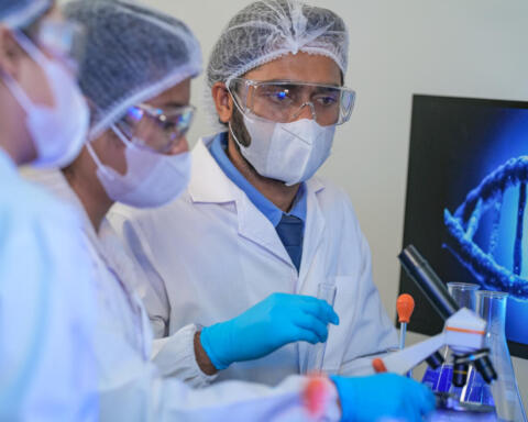 I ricercatori hanno individuato tracce di due antenati "fantasma" nel DNA degli esseri umani moderniù