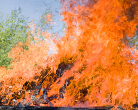 Indonesia in allerta: incendi in aumento nel Kalimantan, migliaia di uomini mobilitati