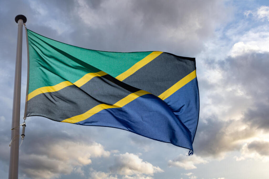 Tanzania scossa ai vertici: le dimissioni del vicepresidente Nchimbi aprono una fase di incertezza politica