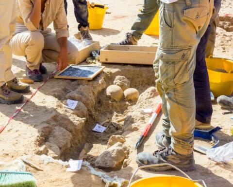 Gli archeologi che sfidarono l’ISIS per salvare 30.000 tesori della storia
