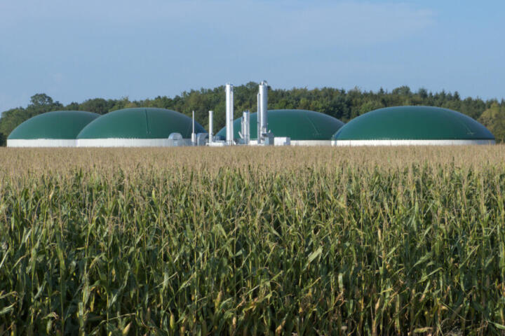 Biocarburanti, lo studio TEHA-Eni: “Per l’Europa leva di sicurezza energetica e competitività”