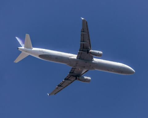Passeggero dell'American Airlines legato al sedile dopo una presunta esternazione razzista e omofoba in volo