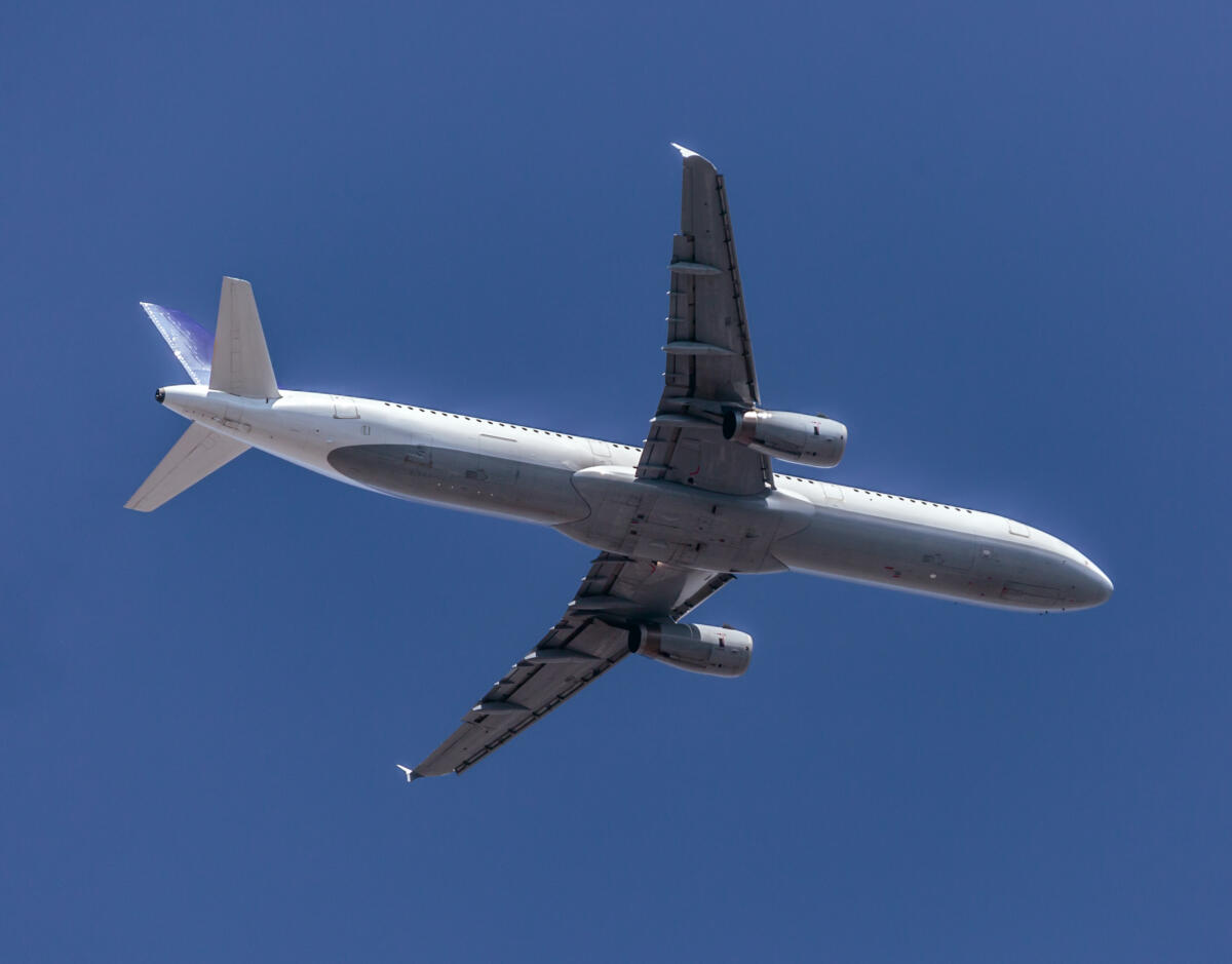Passeggero dell'American Airlines legato al sedile dopo una presunta esternazione razzista e omofoba in volo