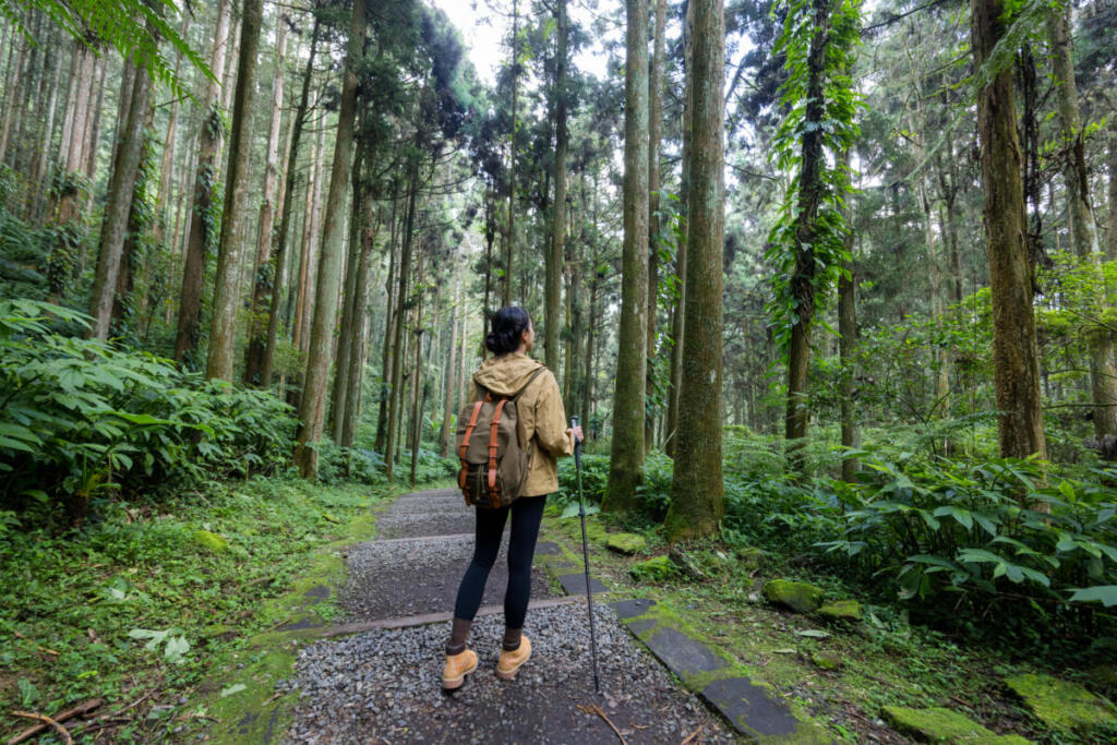 Shinrin-Yoku